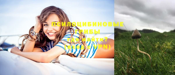 соль курить ск Верея